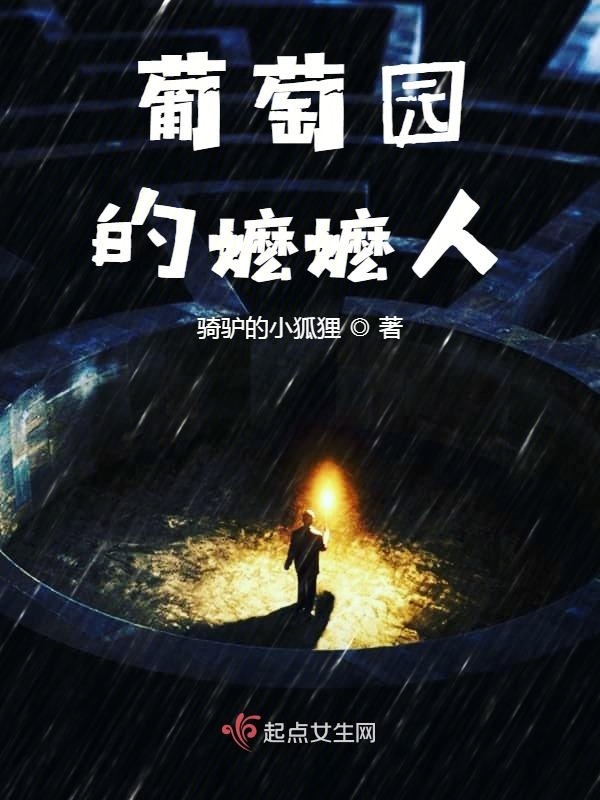 葡萄园的嬷嬷人小说封面