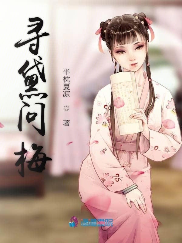 寻黛问梅小说封面