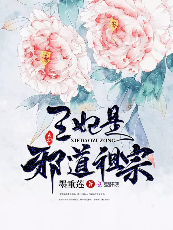 王妃是邪道祖宗小说封面