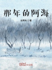 那年的阿海