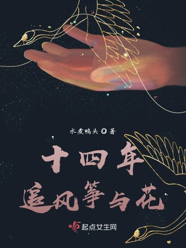 十四年追风筝与花小说封面