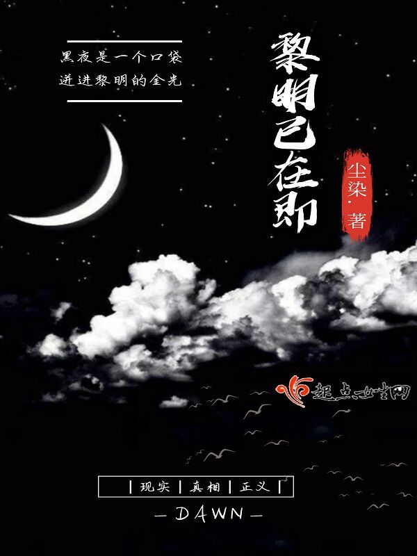 黎明已在即小说封面