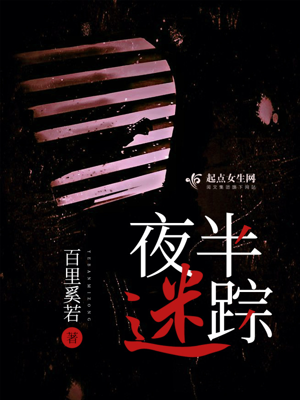 夜半迷踪小说封面