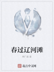 《春过辽河滩》封面