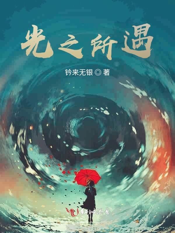 光之所遇小说封面