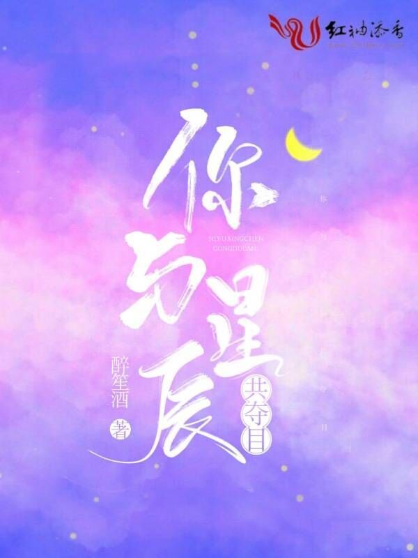 你与星辰共夺目小说封面