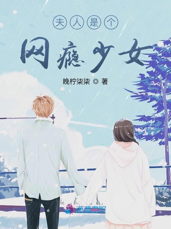 夫人是个网瘾少女小说封面