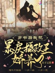 兩不疑小說