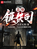 盖壤镇妖司