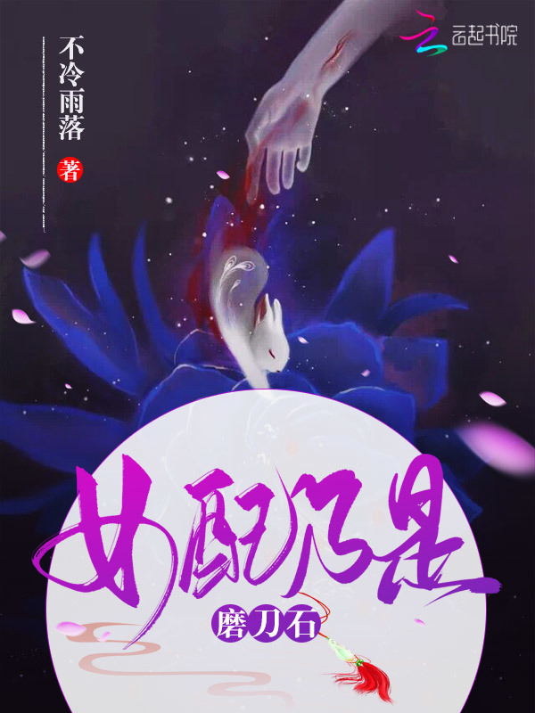 女配乃是磨刀石小说封面
