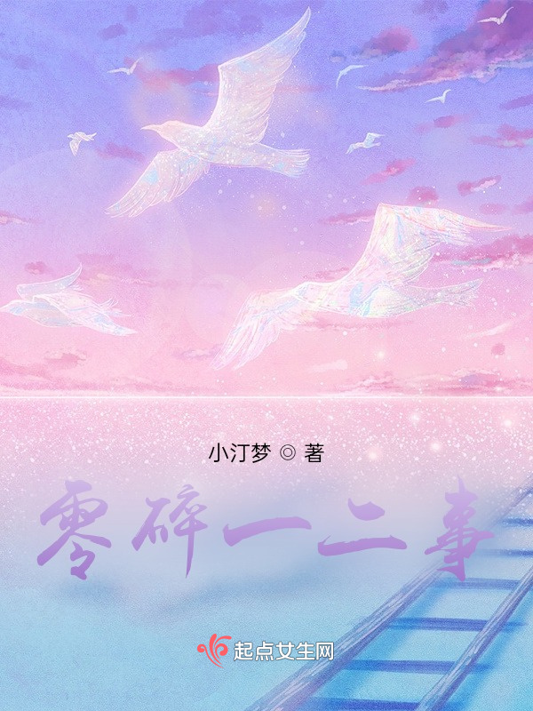 零碎一二事小说封面