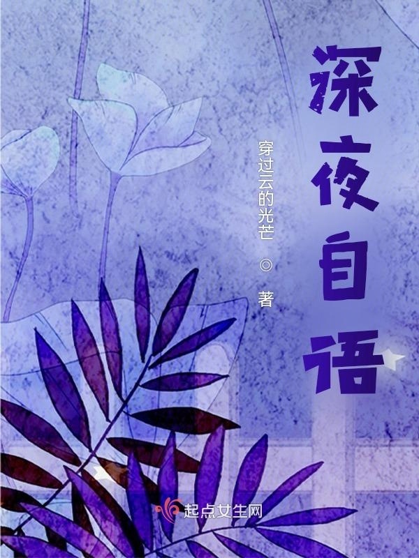 深夜自语小说封面