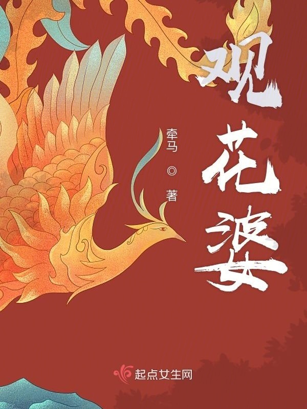 观花婆小说封面
