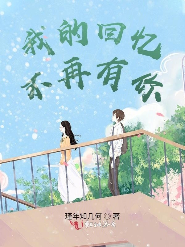 我的回忆不再有你小说封面