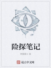 险探笔记