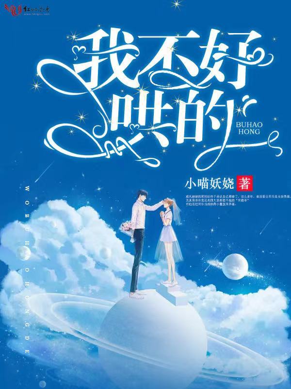 我不好哄的小说封面