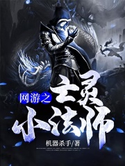 《网游之亡灵小法师》封面