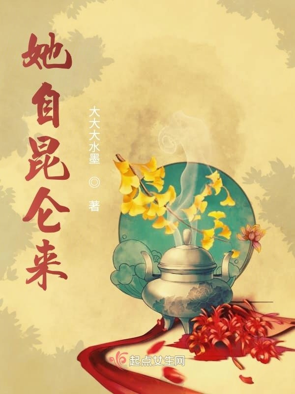 她自昆仑来小说封面
