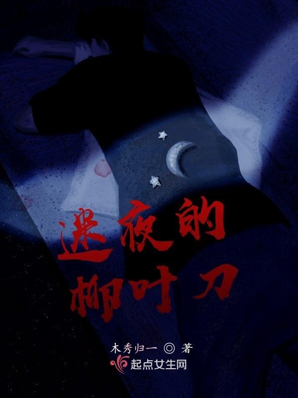 迷夜的柳叶刀小说封面