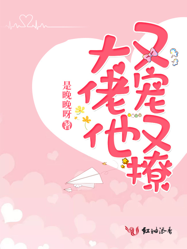 大佬他又宠又撩小说封面