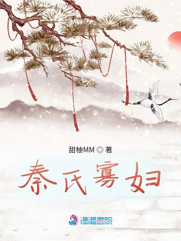 秦氏寡妇小说封面