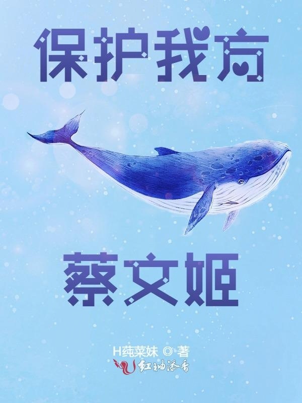 保护我方蔡文姬小说封面