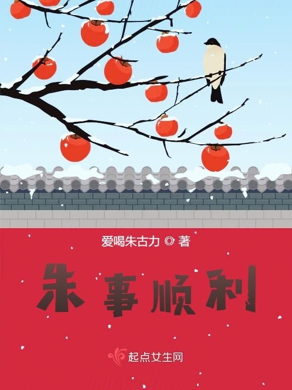 朱事顺利小说封面