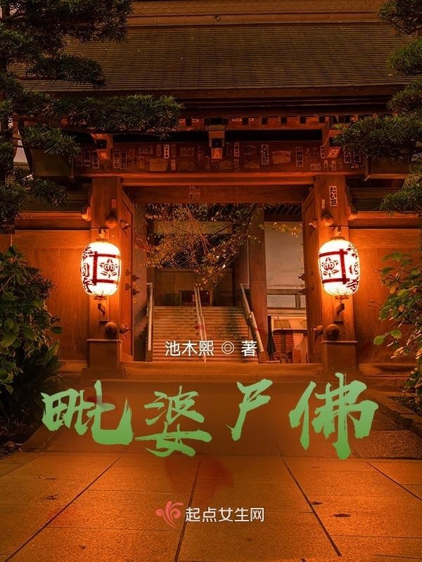 毗婆尸佛小说封面