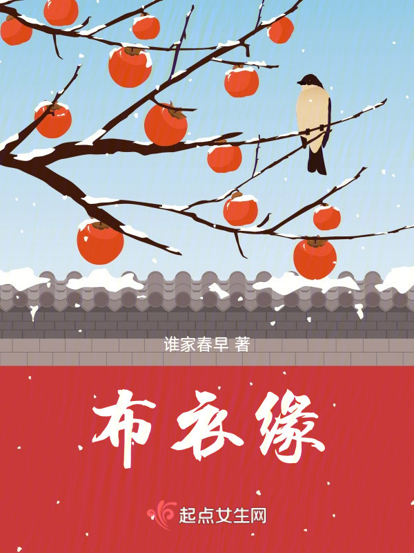 布衣缘小说封面