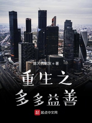 《重生之多多益善》封面