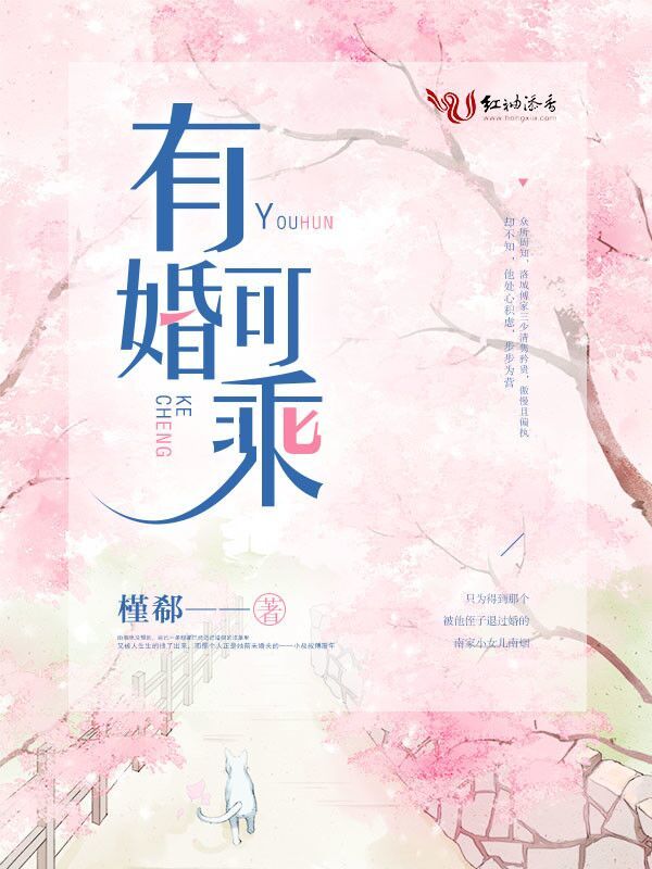 有婚可乘小说封面
