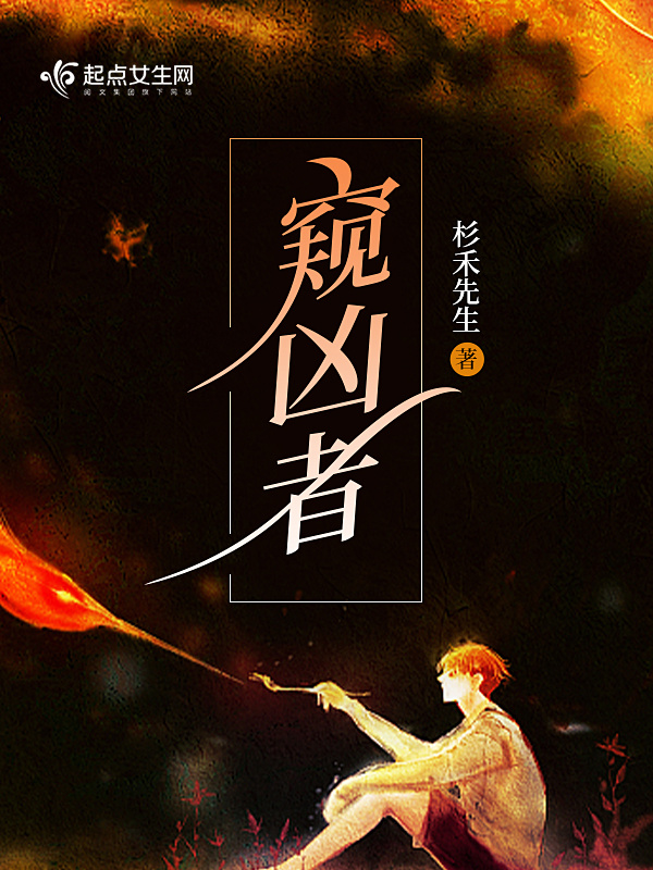 窥凶者小说封面