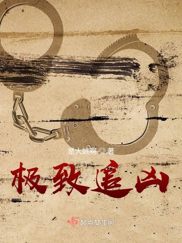 极致追凶小说封面
