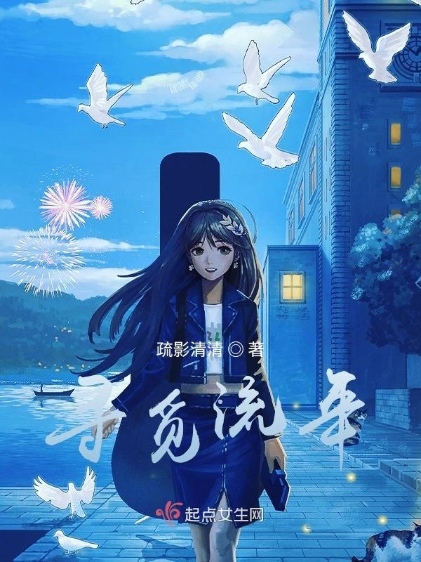 寻觅流年小说封面