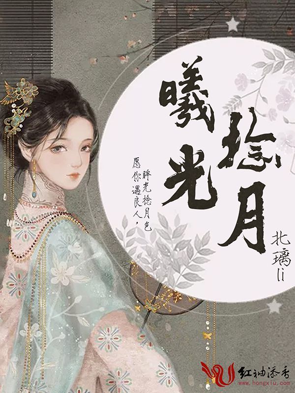 曦光捻月小说封面