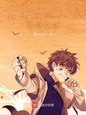 《完美主义人生开局火影》封面