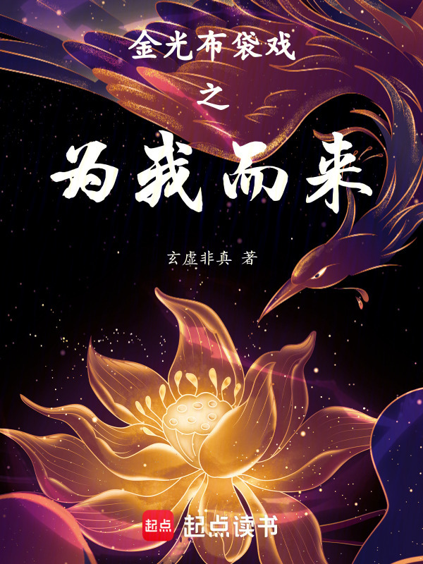 金光布袋戏之为我而来小说封面