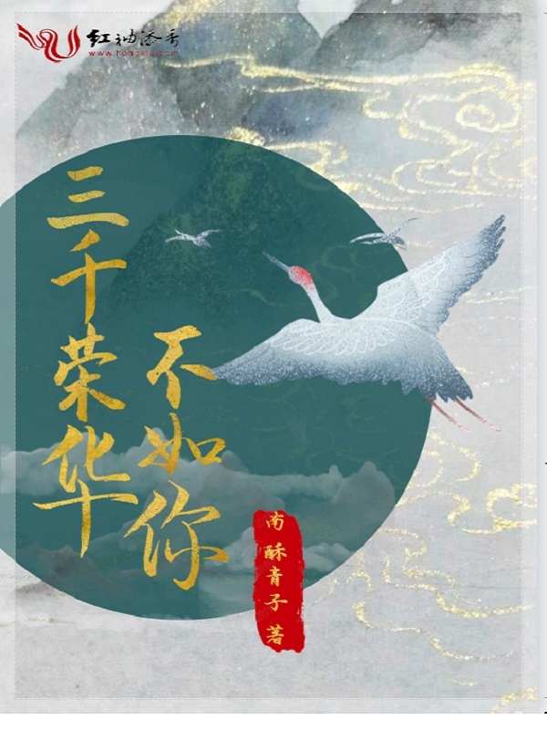 三千荣华不如你小说封面
