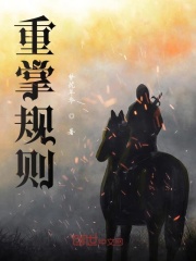 《重掌规则》封面
