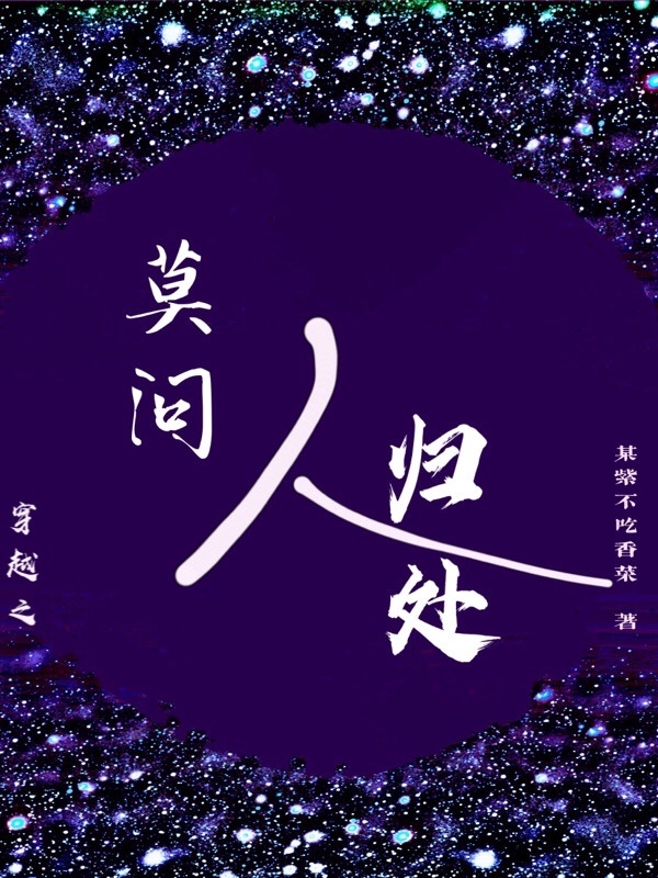 穿越之莫问人归处小说封面