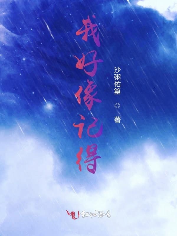 我好像记得小说封面