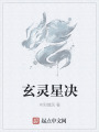 玄灵星决