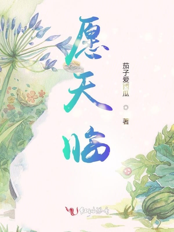 愿天临小说封面