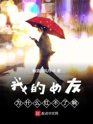 《我的女友为什么红不了啊》封面