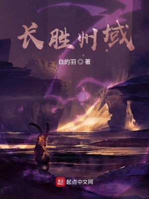 《长胜州域》封面