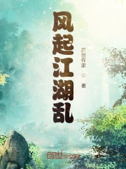 《风起江湖乱》封面
