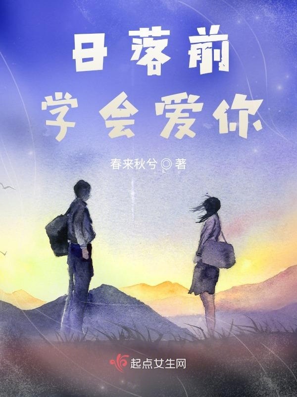日落前学会爱你小说封面