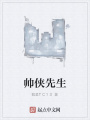 帅侠先生
