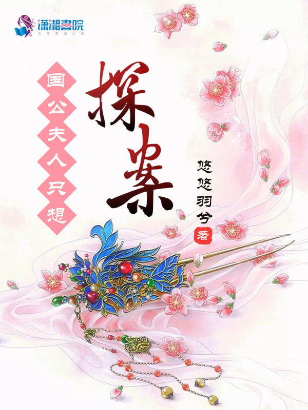 国公夫人只想探案小说封面