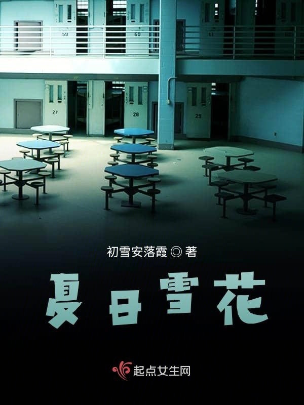 夏日雪花小说封面